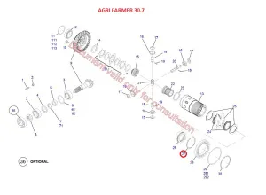 Кольцо стопорное (Agri Farmer 30.7, Mini Agri DIECI)