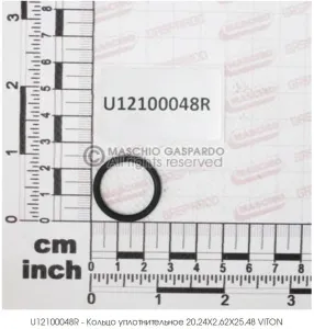 Кольцо 20,24-25,48-2,62 O-RING уплотн. резин. VITON (Опрыскиватели Гаспардо)