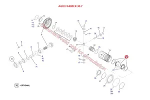 Диск фрикционный (Agri Farmer 30.7, Mini Agri 25.6 DIECI)