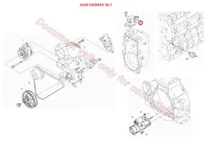 Соленоид (Agri Farmer 30.7 DIECI) 1C01060015/ST-60009