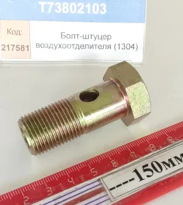 Болт-штуцер воздухоотделителя (1304)