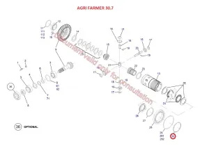 Кольцо стопорное (Agri Farmer 30.7, Mini Agri DIECI)
