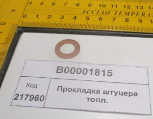 Прокладка штуцера топл. (18,1504,2004)