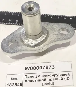 Палец с фиксирующей пластиной правый (ID David)