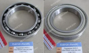 Подшипник (6020-Z - 100х150х24 (шар.рад.закр. с од.стор.)), RandX