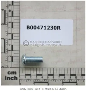 Болт (сфера с внутр. шестигр.) М12х30-8,8 ISO7380 UNBRA (Гаспардо)