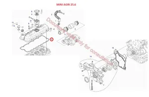 Прокладка клапанной крышки (Mini Agri 25.6 DIECI)
