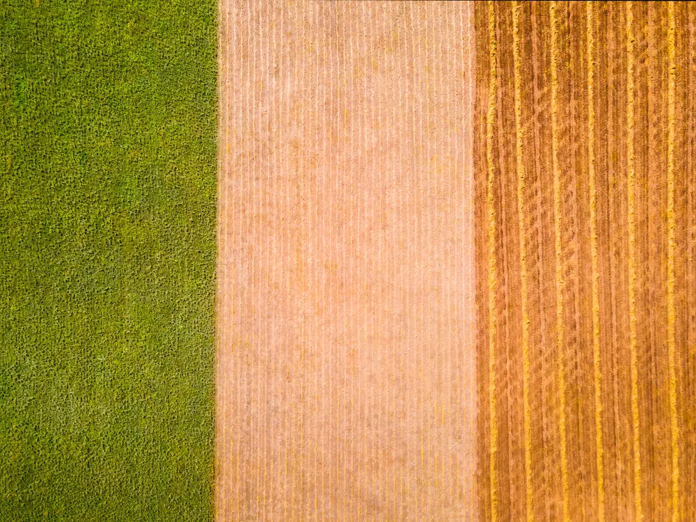 Боронование: какие виды бывают