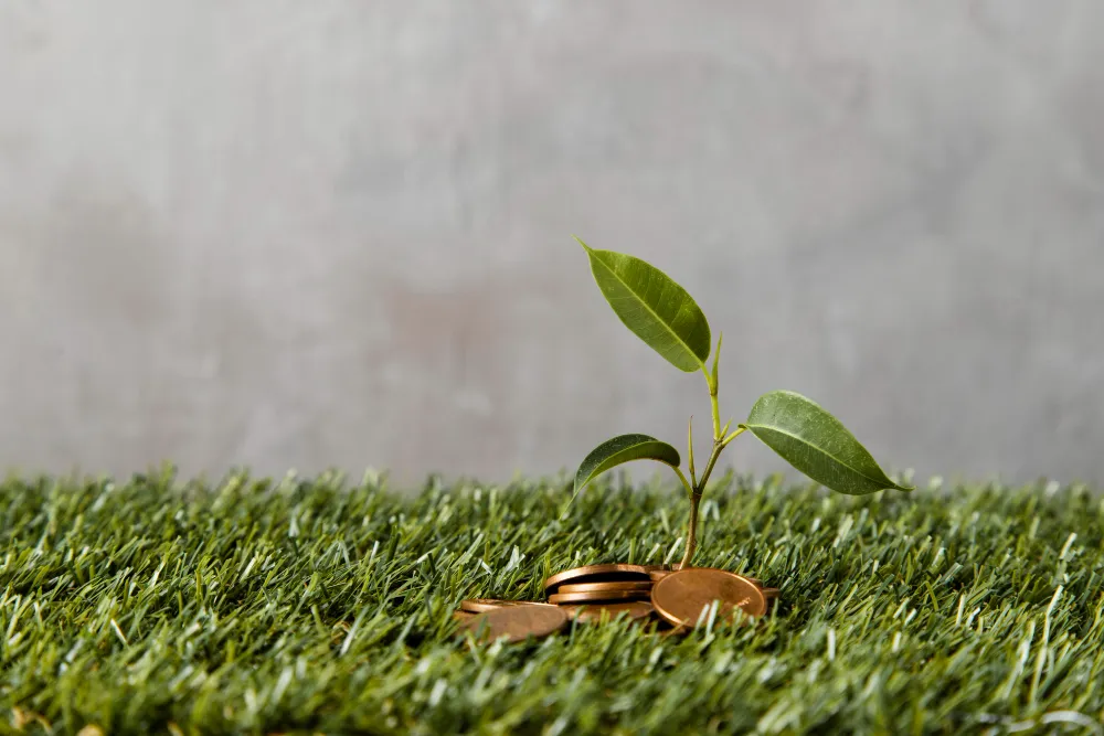 Финансовая поддержка аграриев: гранты и субсидии на 2024 год: виды финансовой поддержки аграриев в РФ