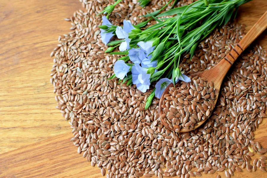 Сбор льна: ключевые моменты успешной технологии сбора