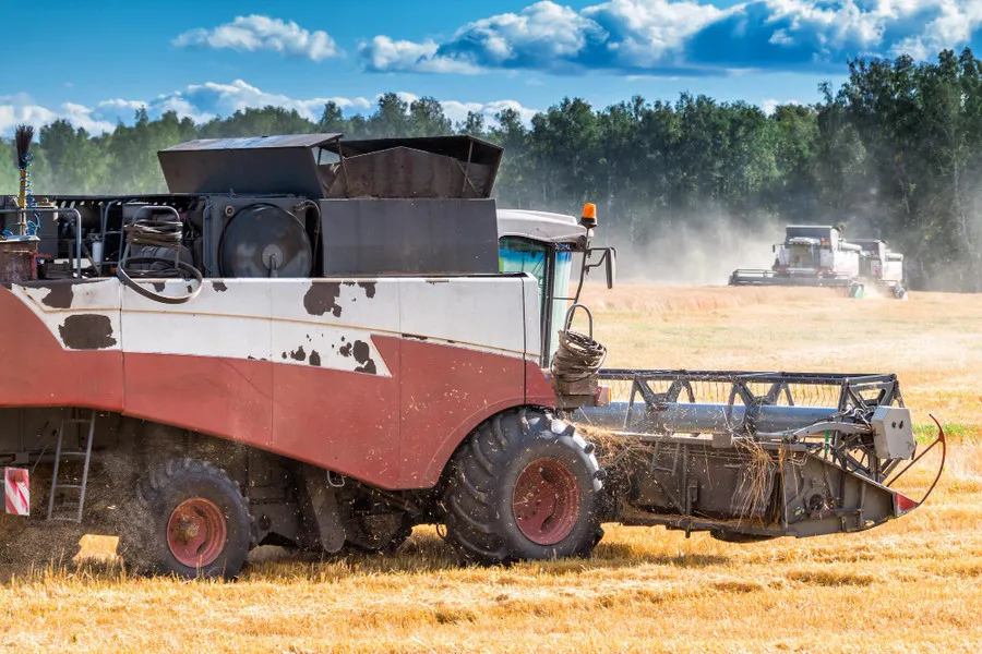 Сбор льна: ключевые моменты успешной технологии сбора