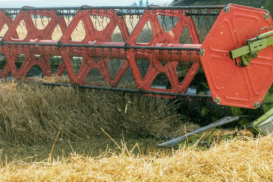 Сбор льна: ключевые моменты успешной технологии сбора