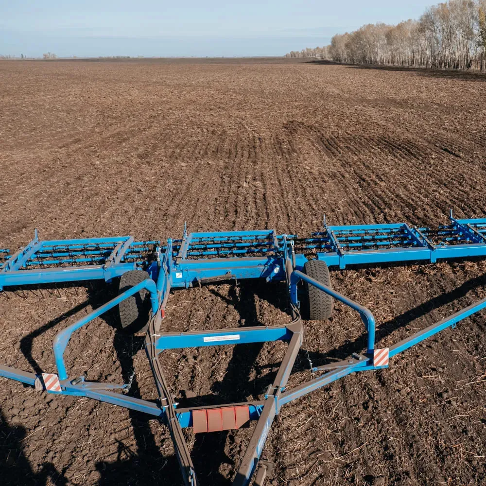 Технология возделывания и выращивания сельскохозяйственных культур: виды технологий возделывания культур