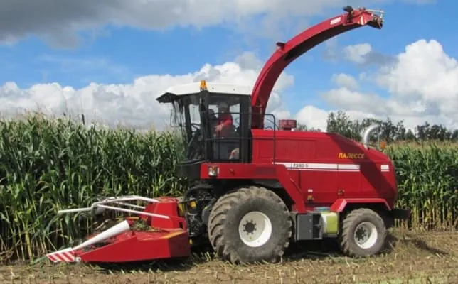 Уборка кукурузы: лучшие практики