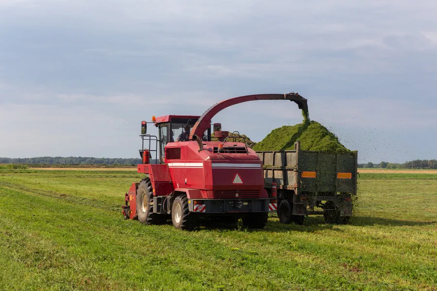 Заготовка силоса: как получить качественные корма для скота