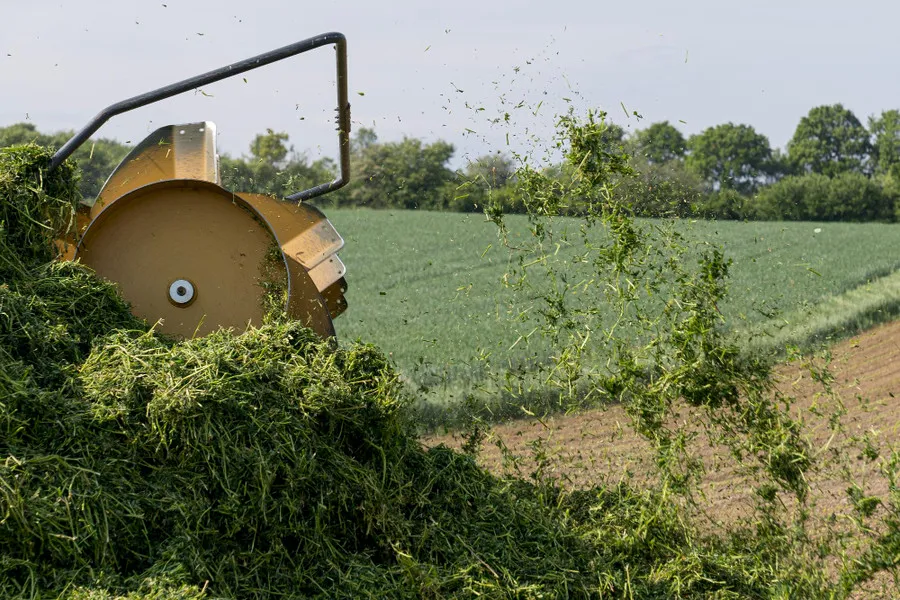 Заготовка силоса: как получить качественные корма для скота