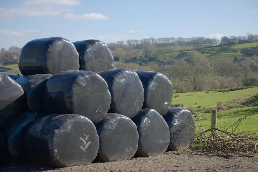 Заготовка силоса: как получить качественные корма для скота