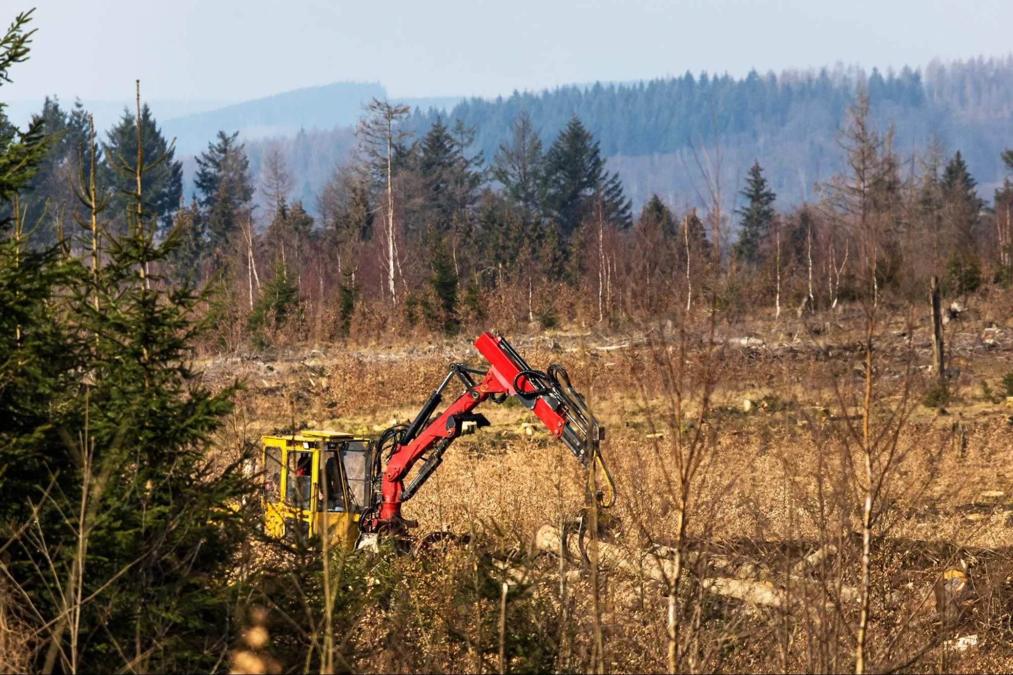Как повысить плодородие почвы: причины негативных изменений