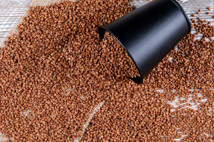 Хранение зерна: правила и секреты, которые помогут сберечь урожай на долгий срок