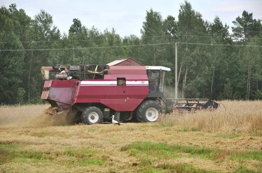 Сбор льна: ключевые моменты успешной технологии сбора