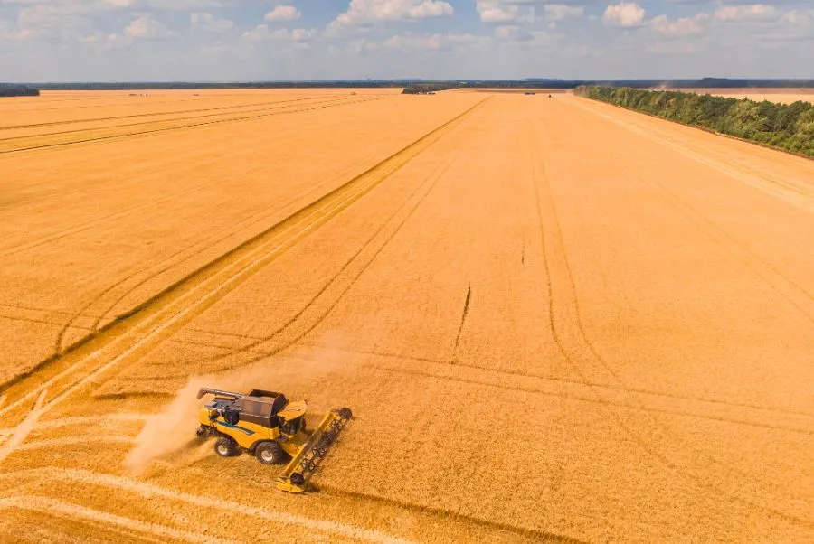 Технология возделывания и выращивания сельскохозяйственных культур: технологическая карта традиционной технологии
