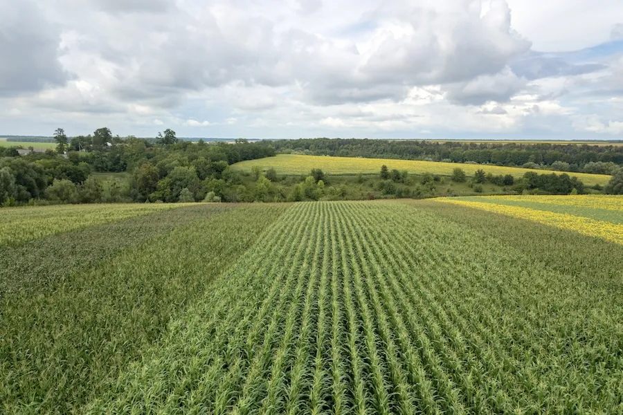 орошение полей