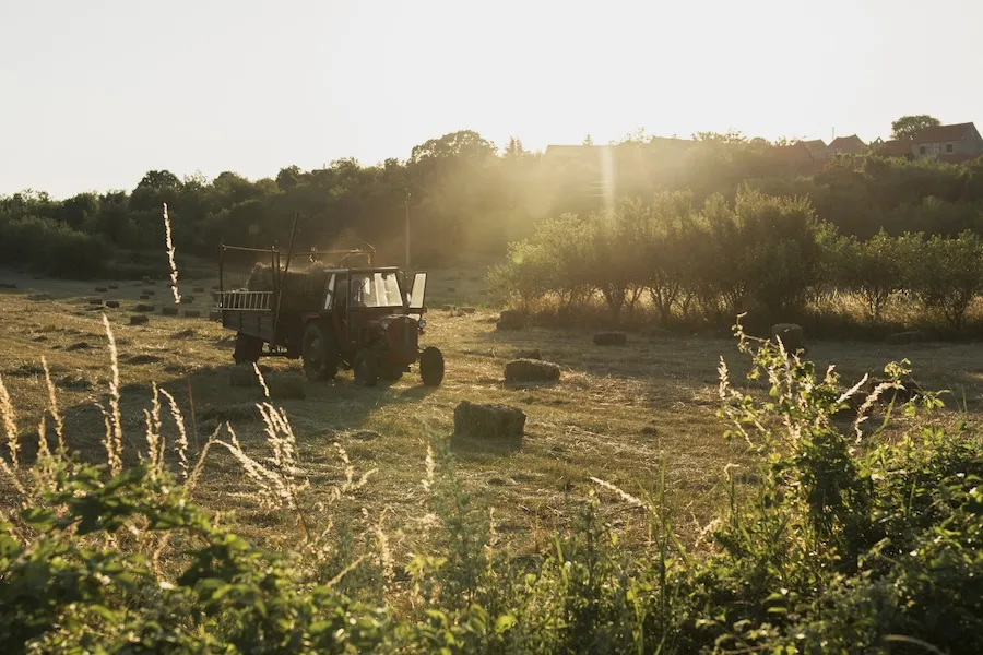 самоходные сельскохозяйственные машины