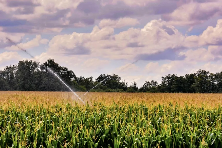 орошение полей