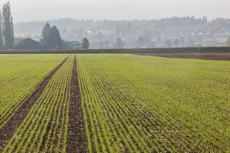 орошение полей
