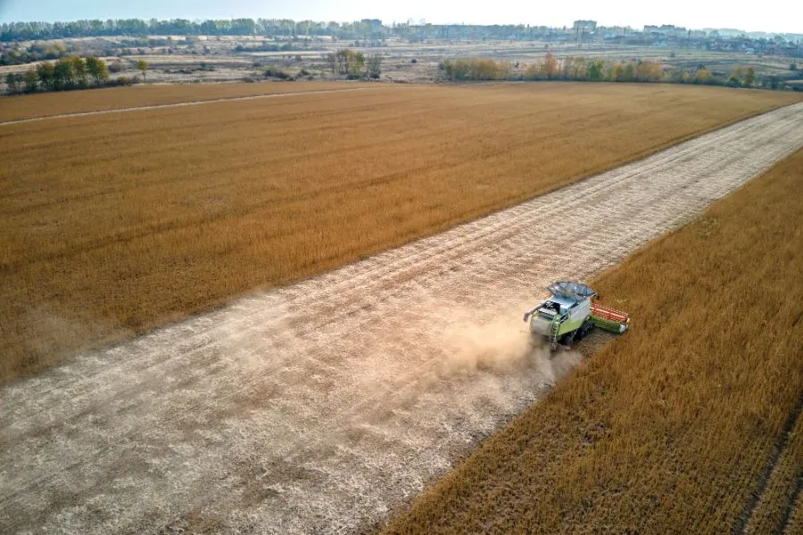 обработка почвы под озимые